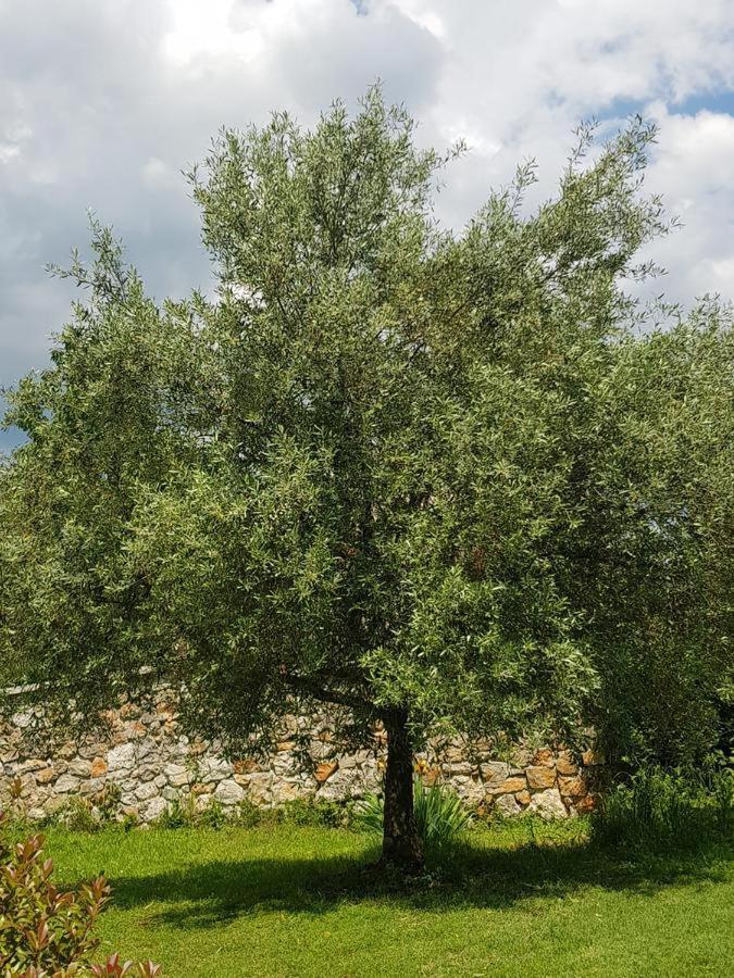 Apartmani Adria Abbázia Kültér fotó